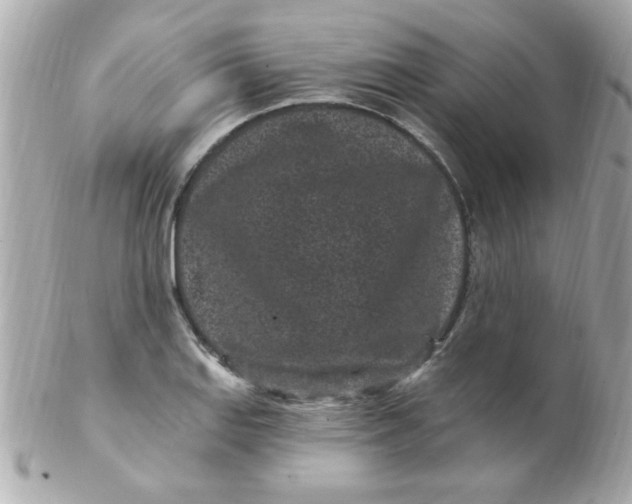 X0000102311127200808152035
