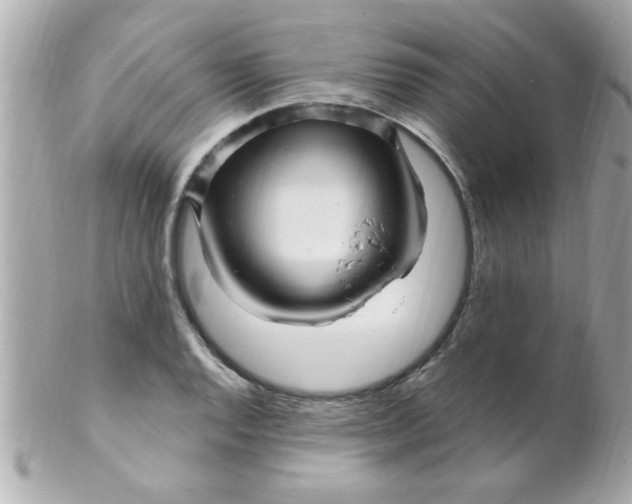 X0000102311128200808152035