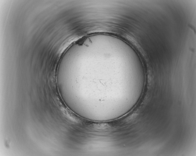 X0000102311129200808152035