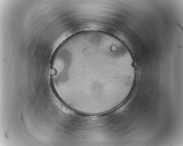 X0000102311130200808152035