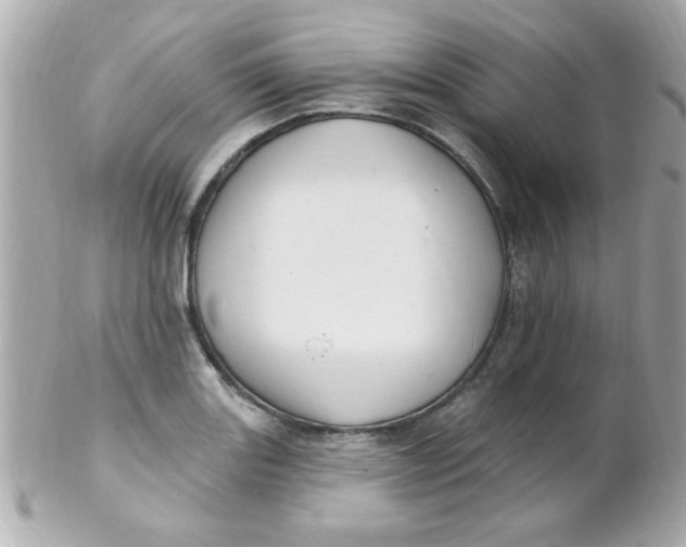 X0000102311131200808152035