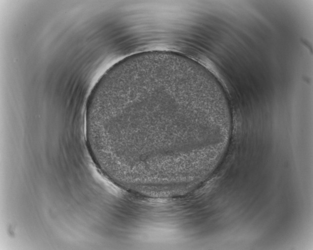 X0000102311132200808152035
