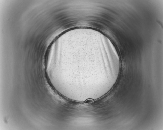 X0000102311133200808152035