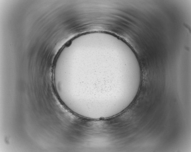 X0000102311134200808152035
