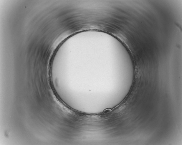 X0000102311135200808152035