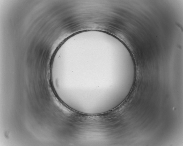 X0000102311136200808152035