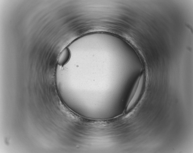 X0000102311137200808152035