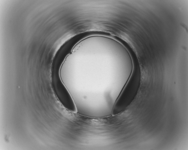 X0000102311138200808152035
