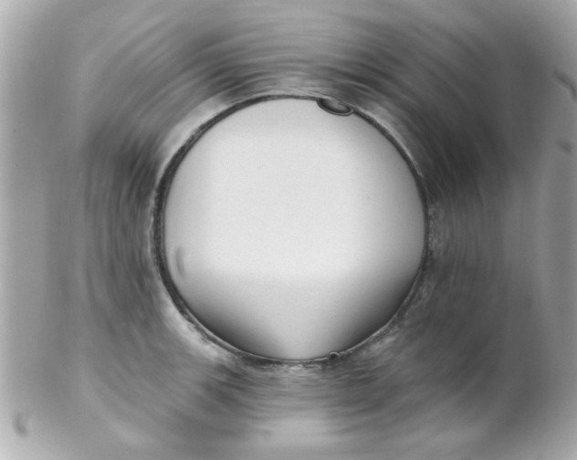 X0000102311139200808152035
