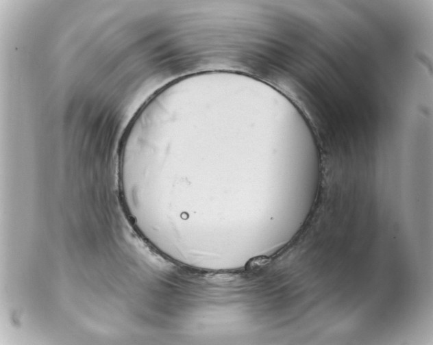 X0000102311140200808152035