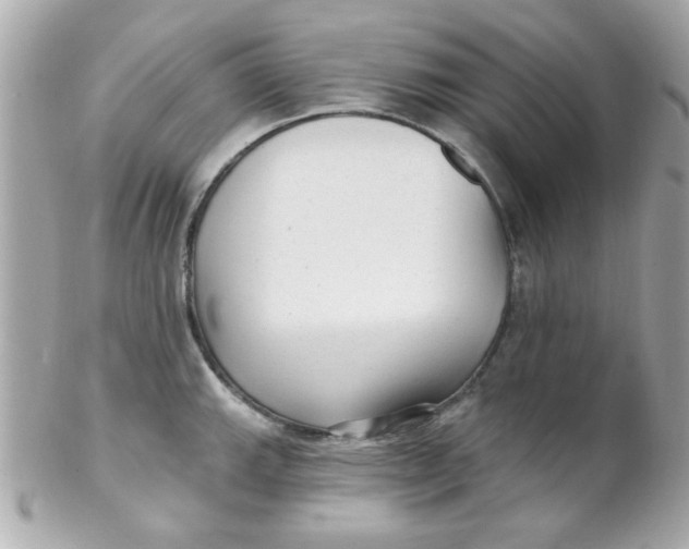 X0000102311143200808152035