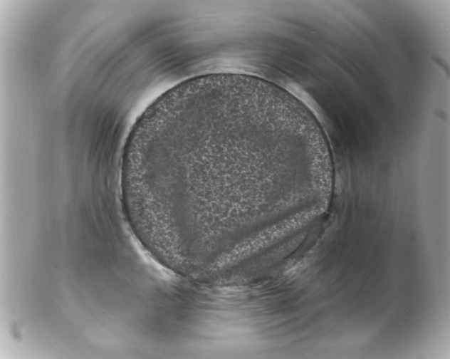 X0000102311144200808152035