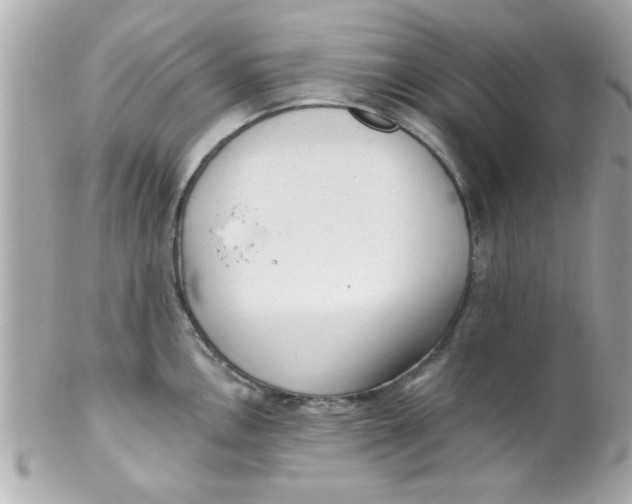 X0000102311146200808152035