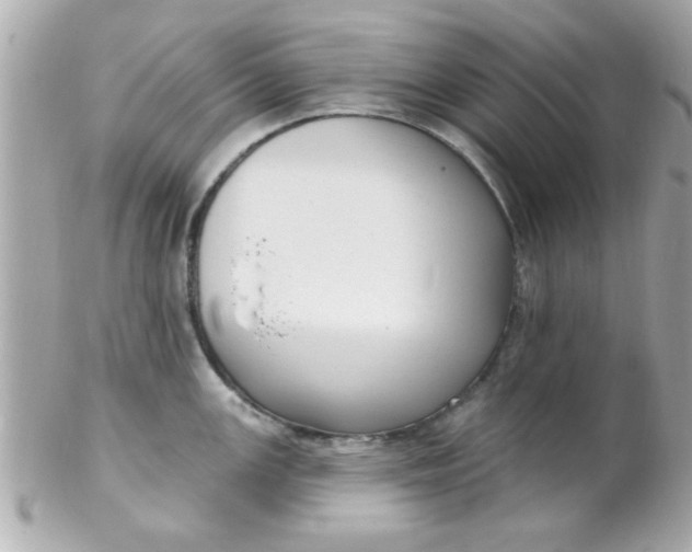 X0000102311147200808152035