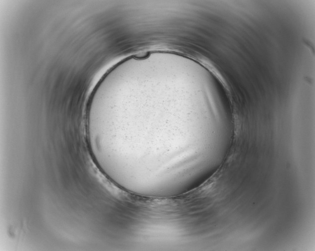 X0000102311148200808152035