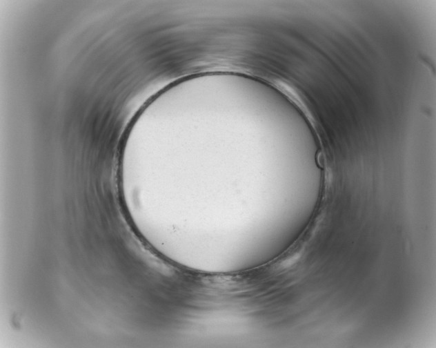 X0000102311149200808152035