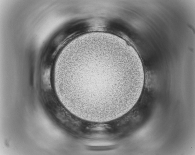 X0000102311150200808152035