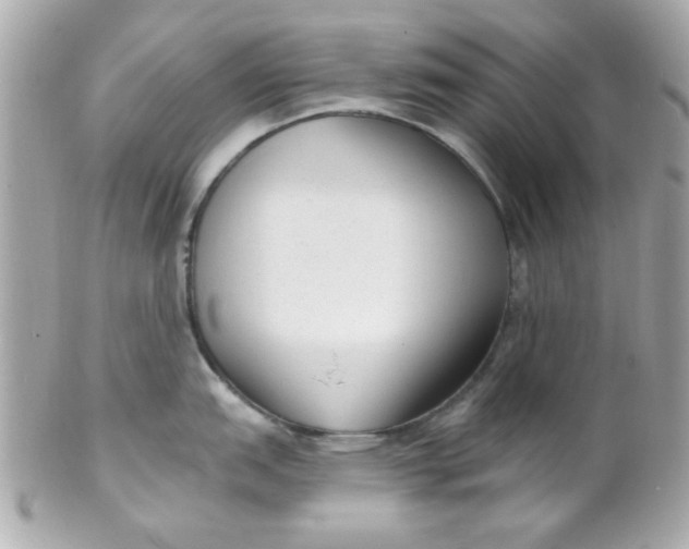 X0000102311151200808152035
