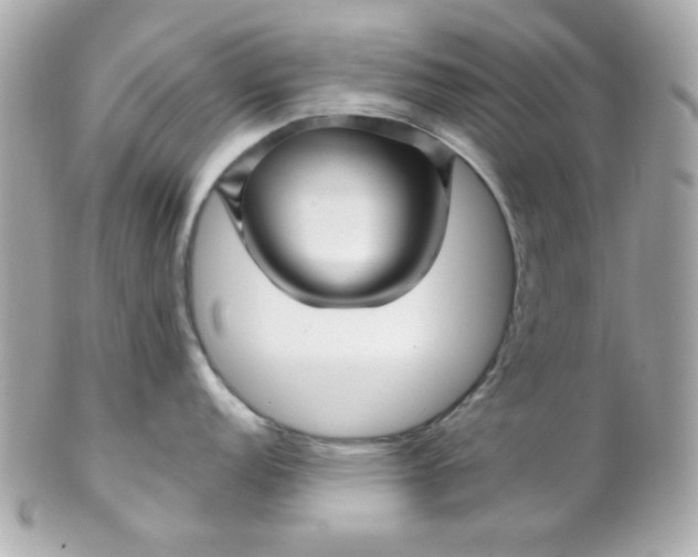 X0000102311152200808152035