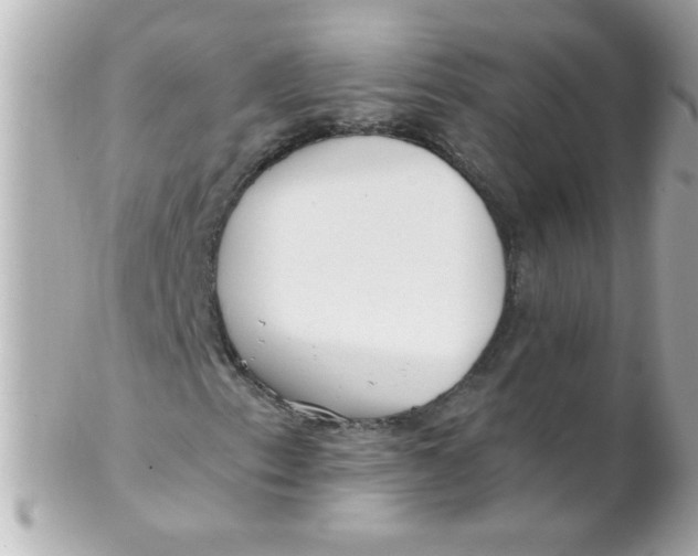 X0000102311153200808152034