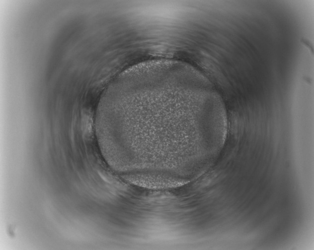 X0000102311154200808152034