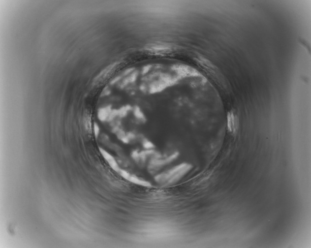 X0000102311155200808152034