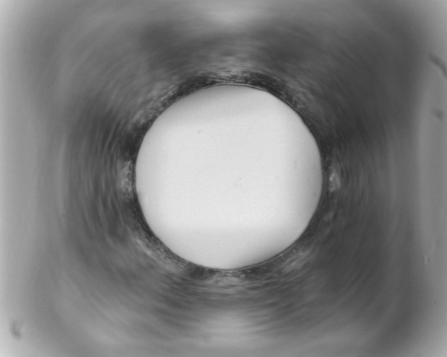 X0000102311156200808152034