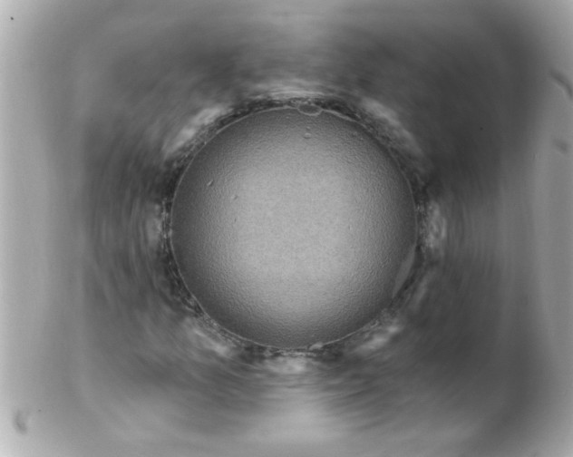 X0000102311157200808152034