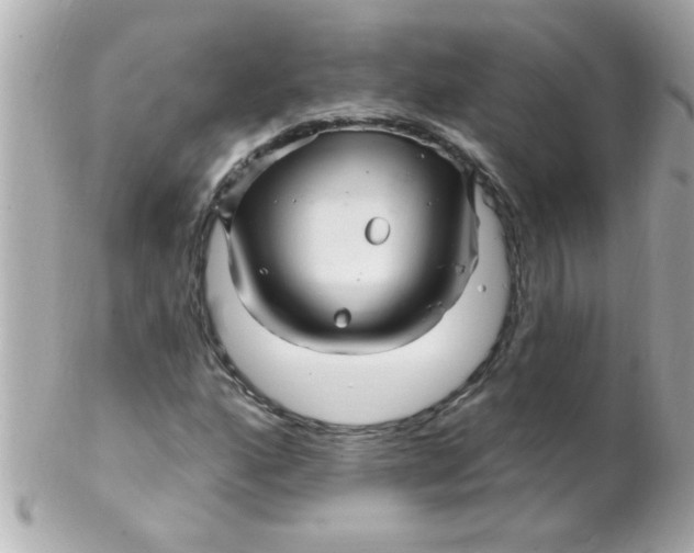 X0000102311160200808152034