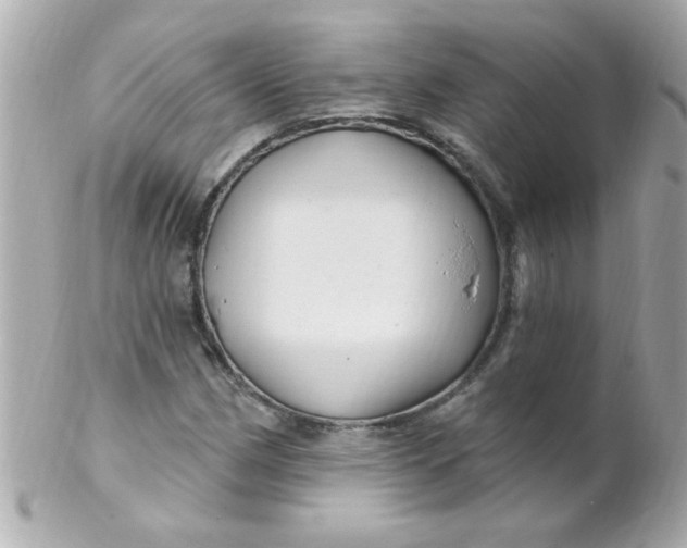 X0000102311162200808152034