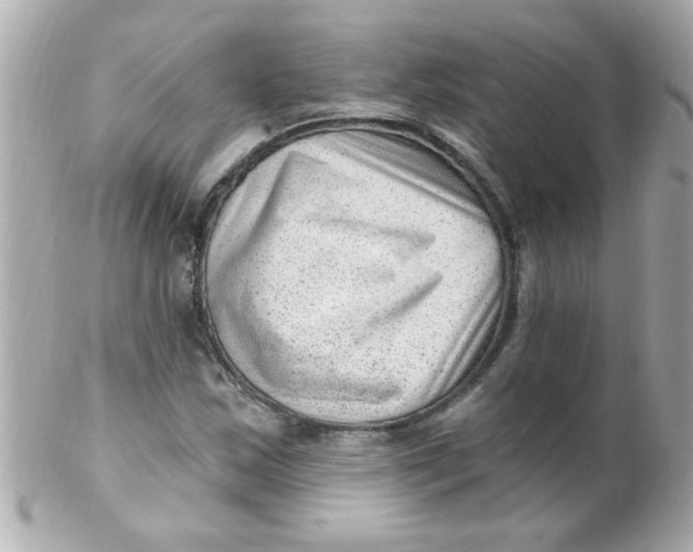 X0000102311163200808152034