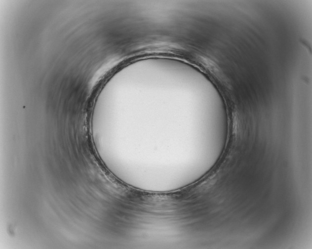 X0000102311164200808152034