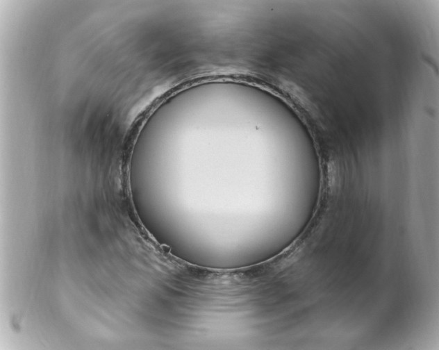 X0000102311165200808152034