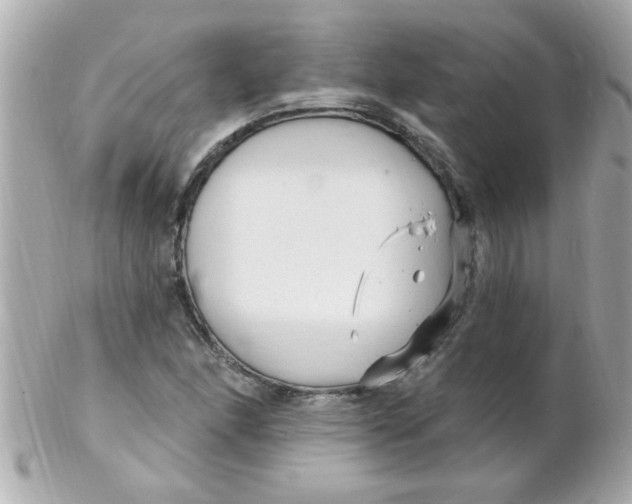 X0000102311166200808152034