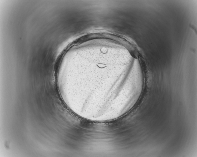 X0000102311167200808152034
