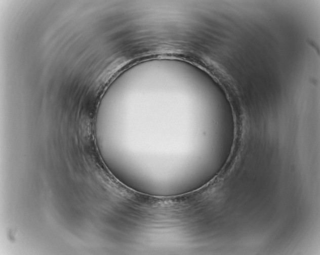 X0000102311169200808152034