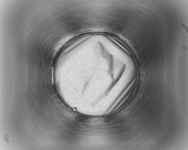 X0000102311171200808152034