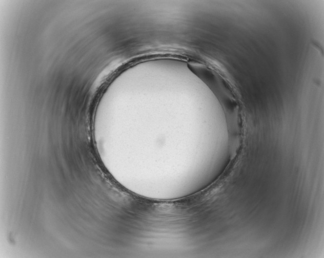X0000102311172200808152034