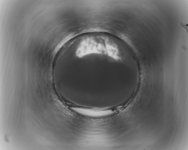 X0000102311173200808152034