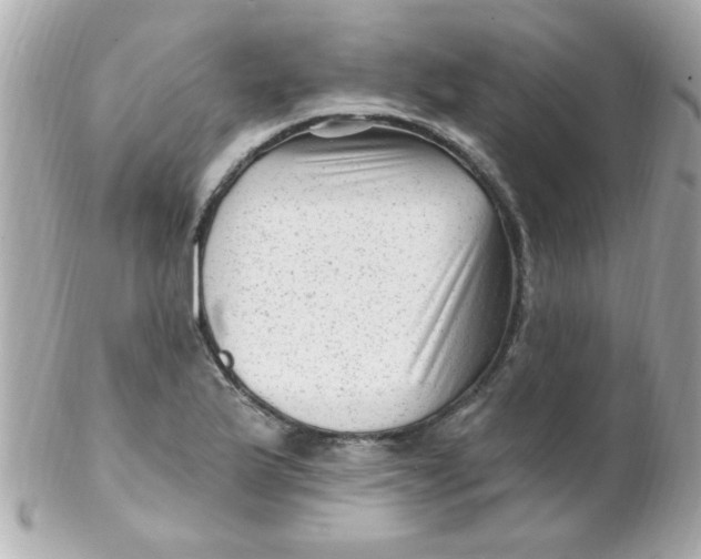 X0000102311175200808152034