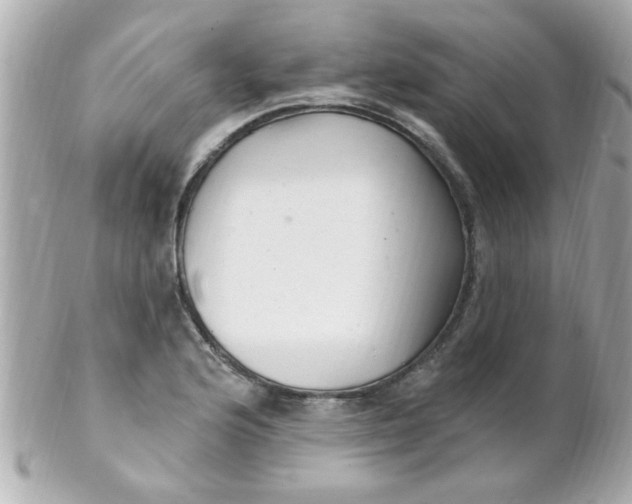X0000102311176200808152034