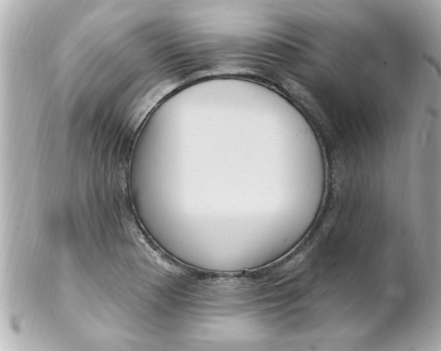 X0000102311177200808152034