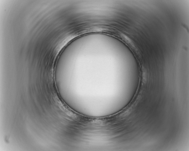 X0000102311178200808152034