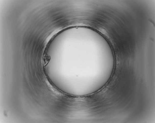 X0000102311181200808152034