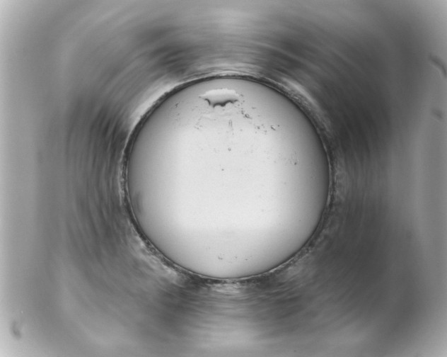 X0000102311182200808152034