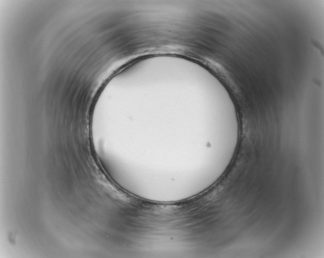 X0000102311184200808152034