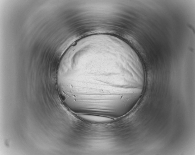 X0000102311185200808152034