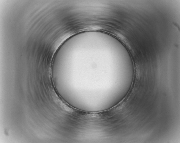 X0000102311186200808152034