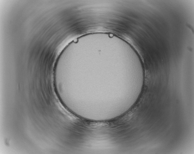 X0000102311187200808152034