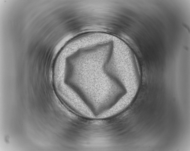 X0000102311188200808152034